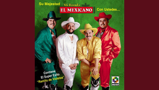 Playera OVERSIZE Ramito de Violetas